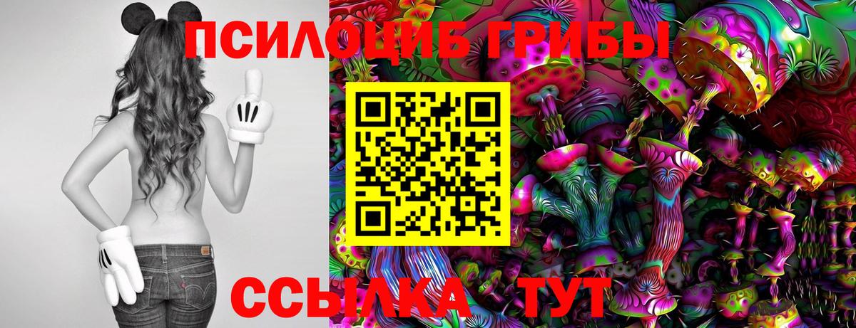 Галлюциногенные грибы ЛСД Алексеевка