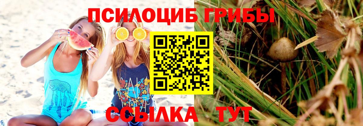 Галлюциногенные грибы Psilocybe  Вход с VPN  Алексеевка 